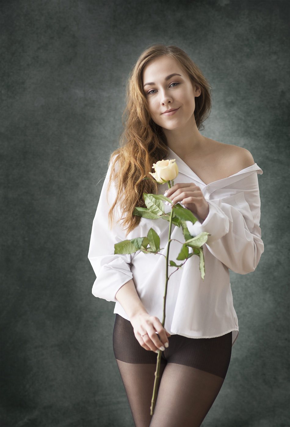 утренняя роза