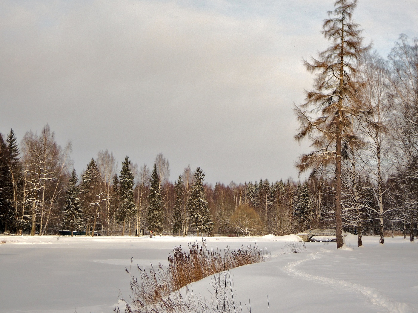 по тропинкам парка