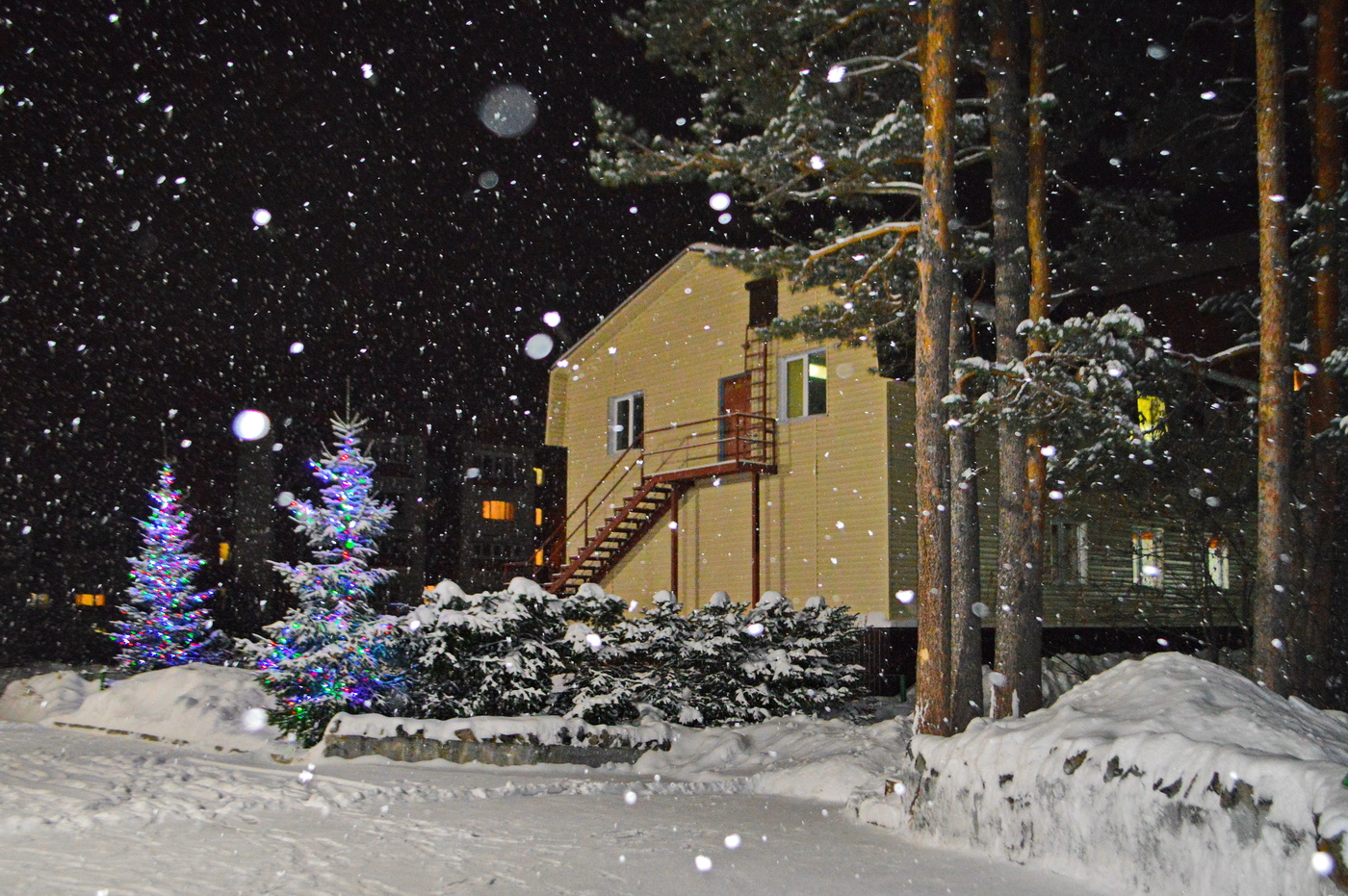 нарядные елки