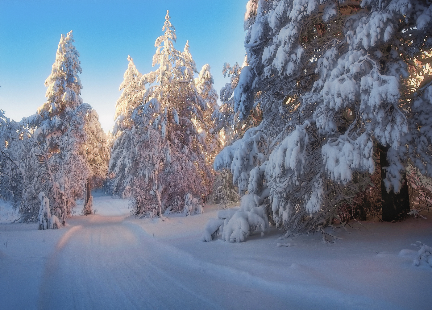 Убегающая вдаль