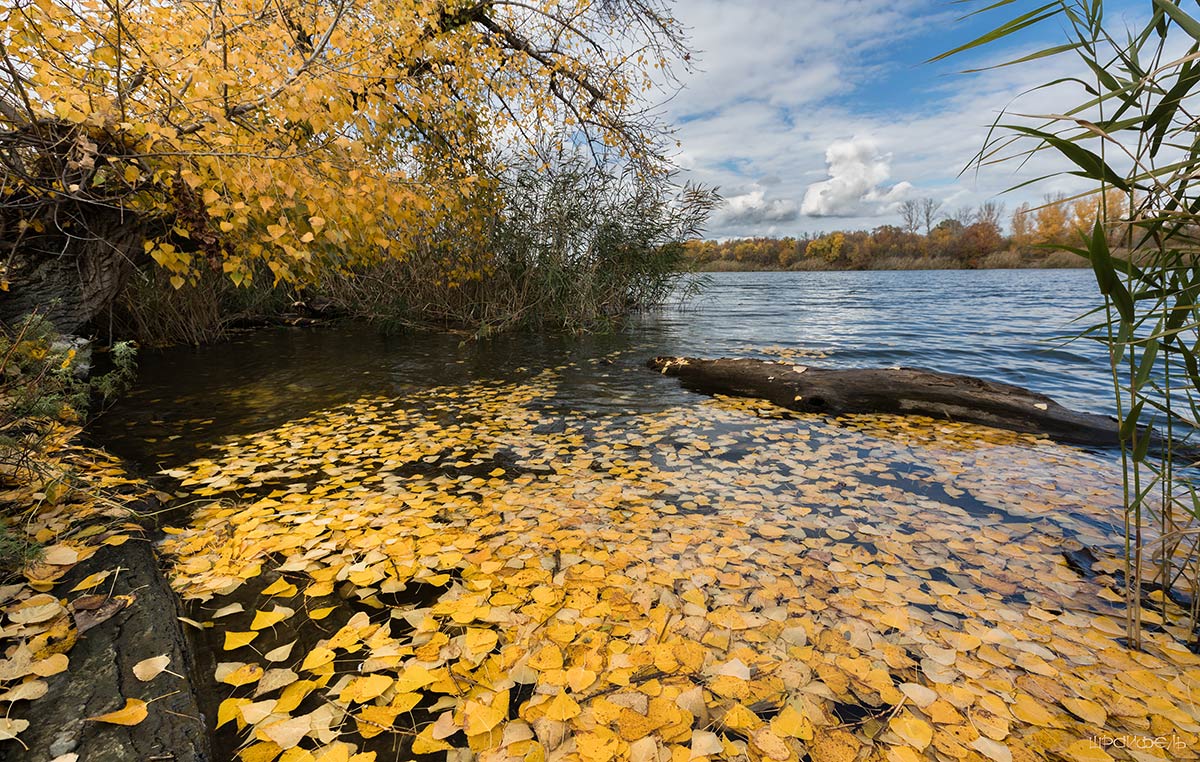 Не взлетим, так поплаваем