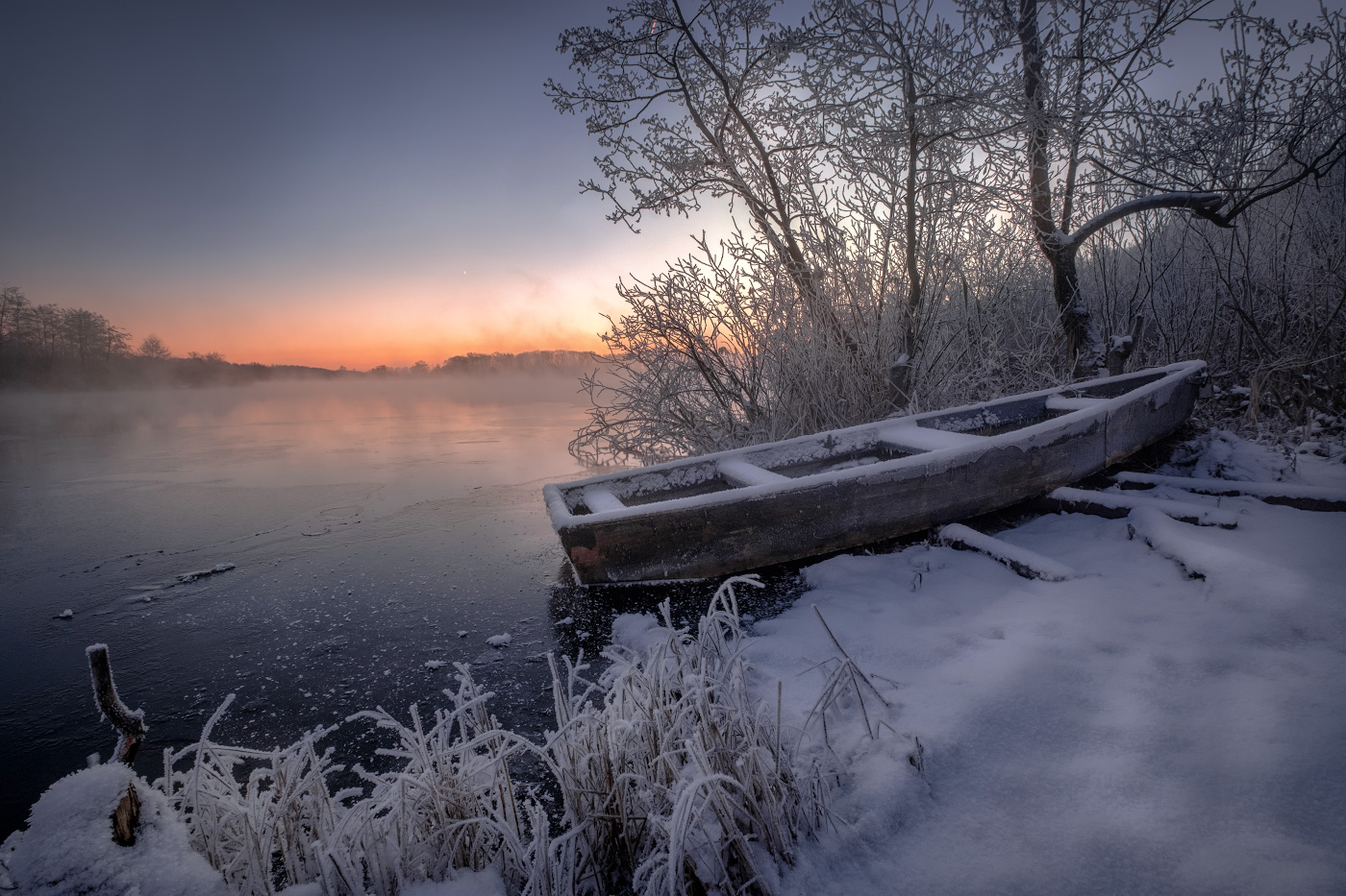 В морозном тумане