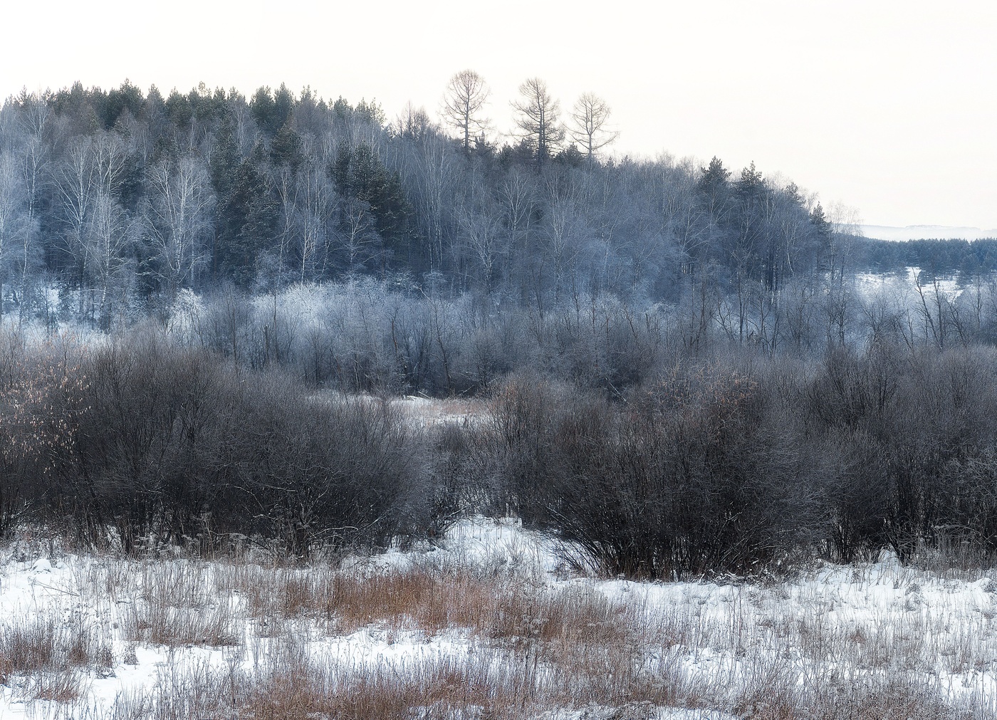 Зимняя атмосфера