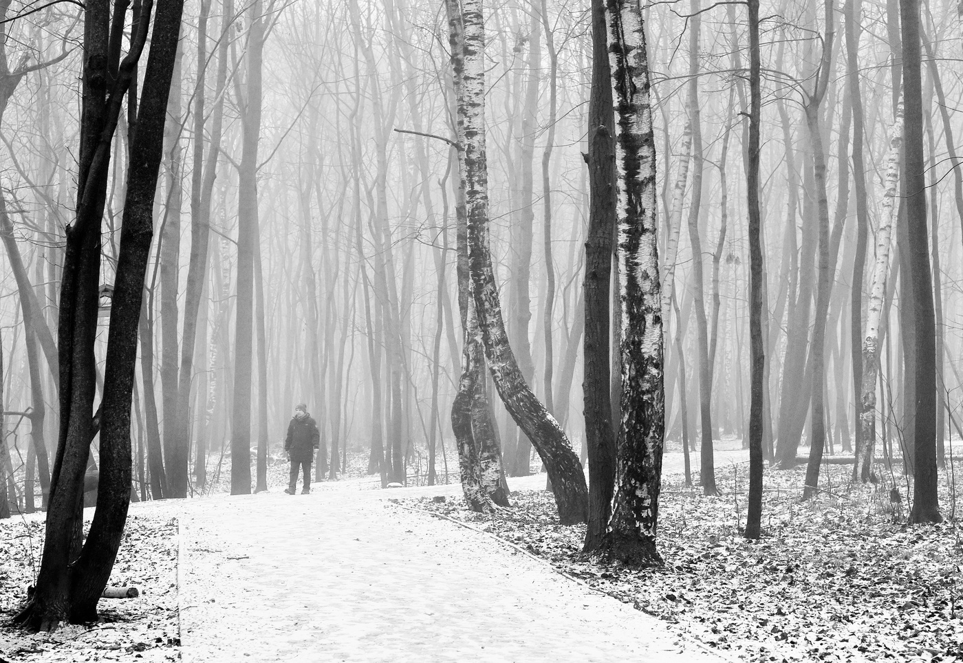 "Туман белесым одеялом покрыл все краски бытия..."