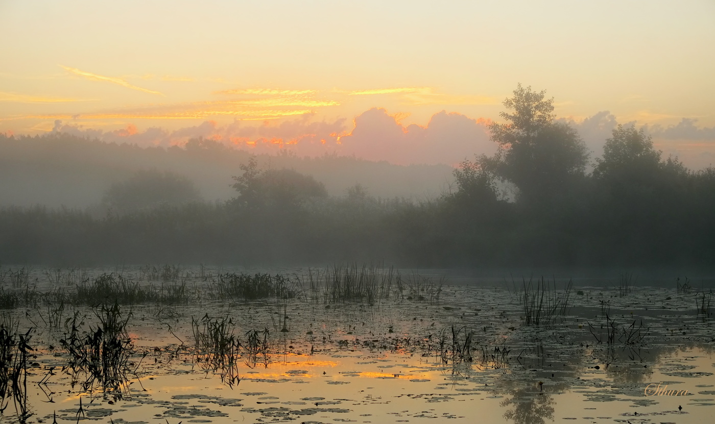 Рассветный пейзаж.