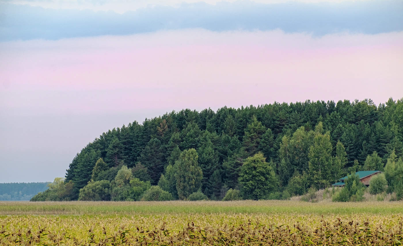 Домик у леса