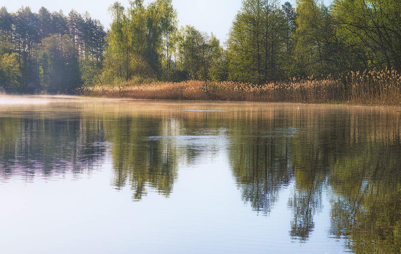 Ранним утром на реке