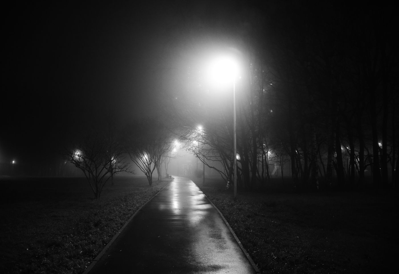 "Ночь большой, ленивой кошкой лапой гладит фонари..."