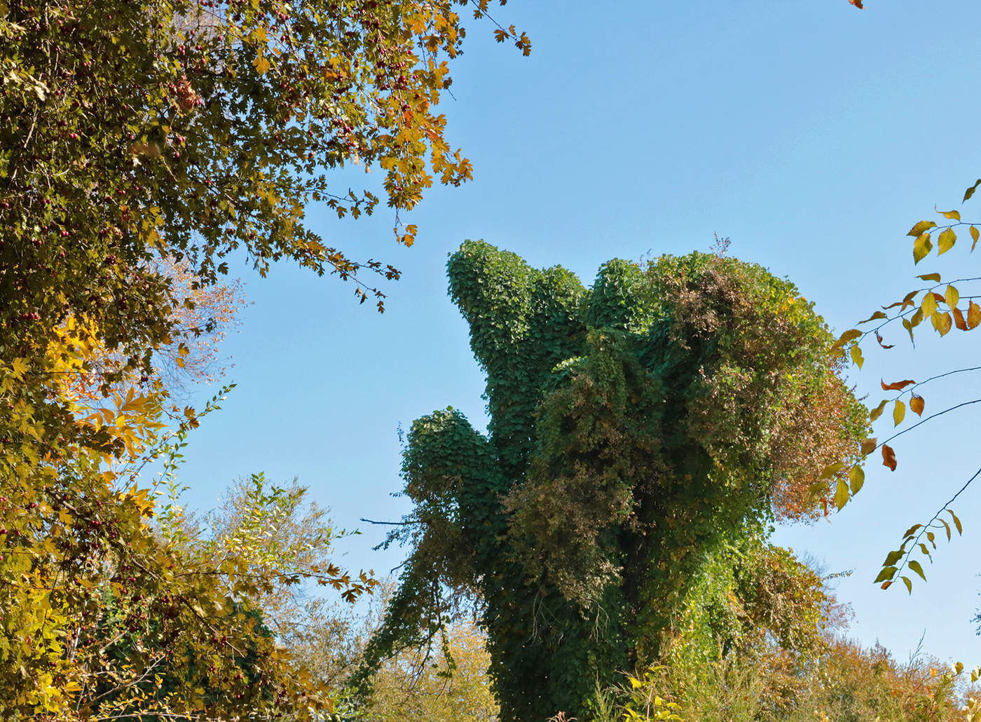 Разинув рот гляжу на небеса