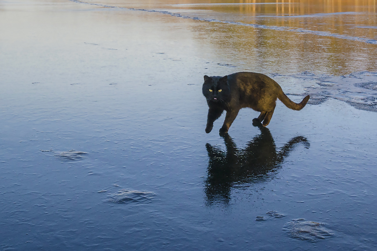 По скользкому льду