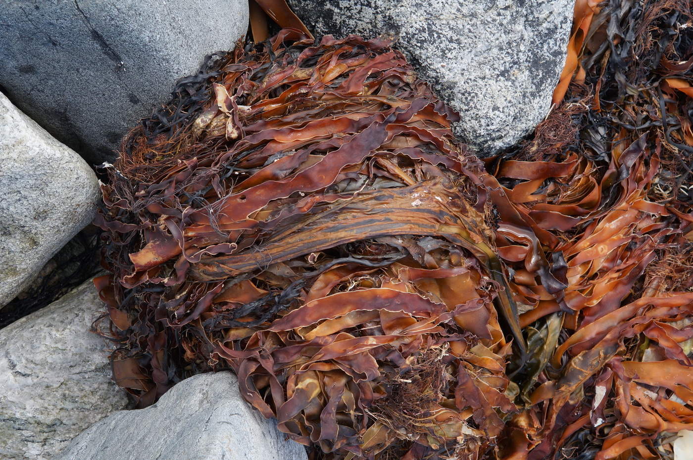 Помотала жизнь...