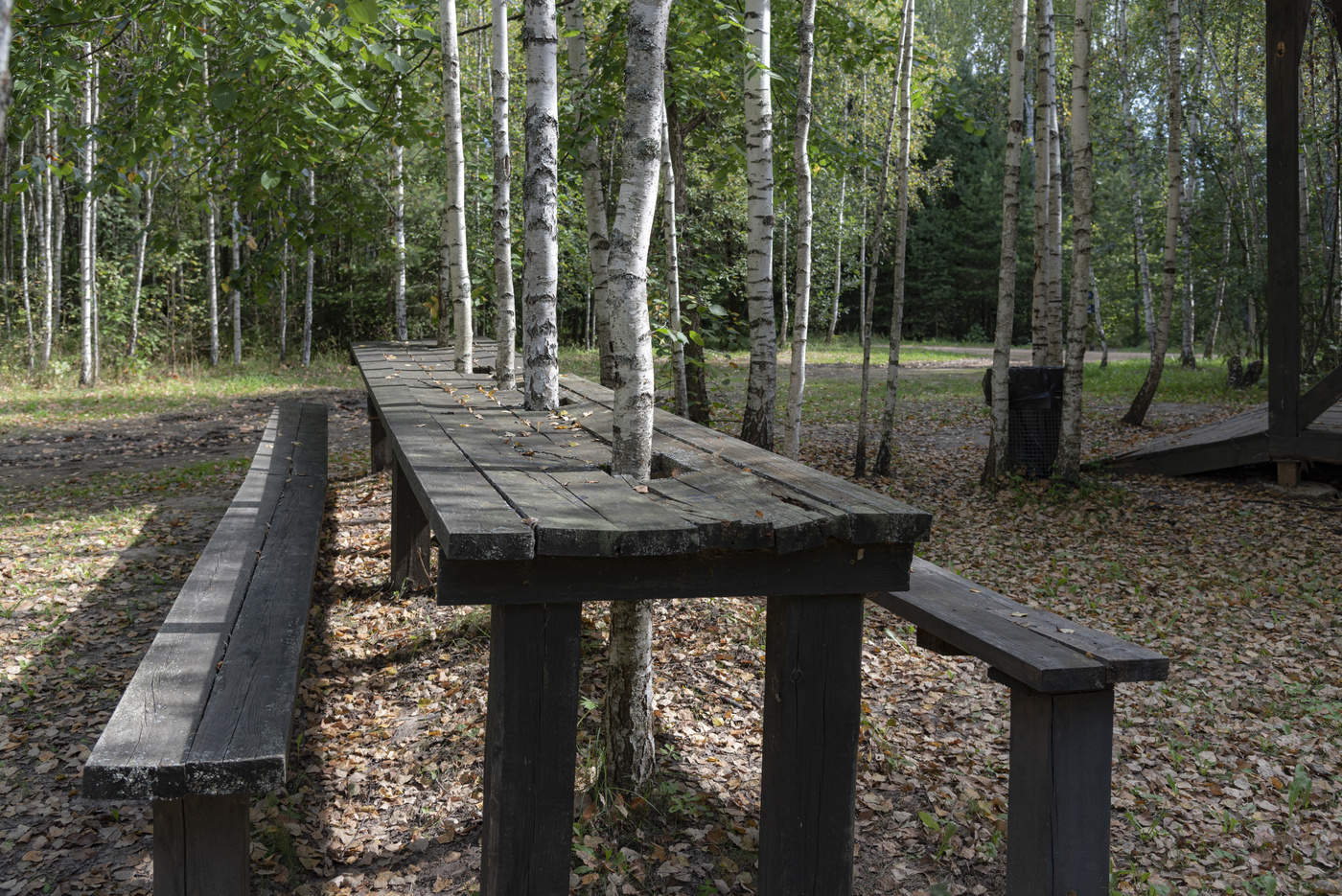 Тонкости дизайна