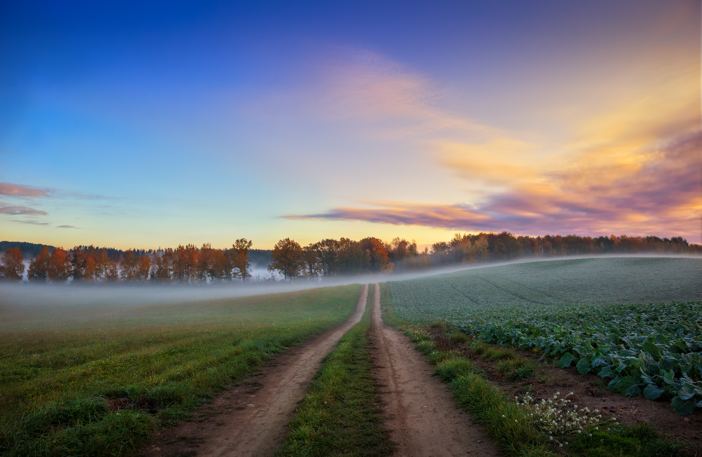 Дорога в рассвет