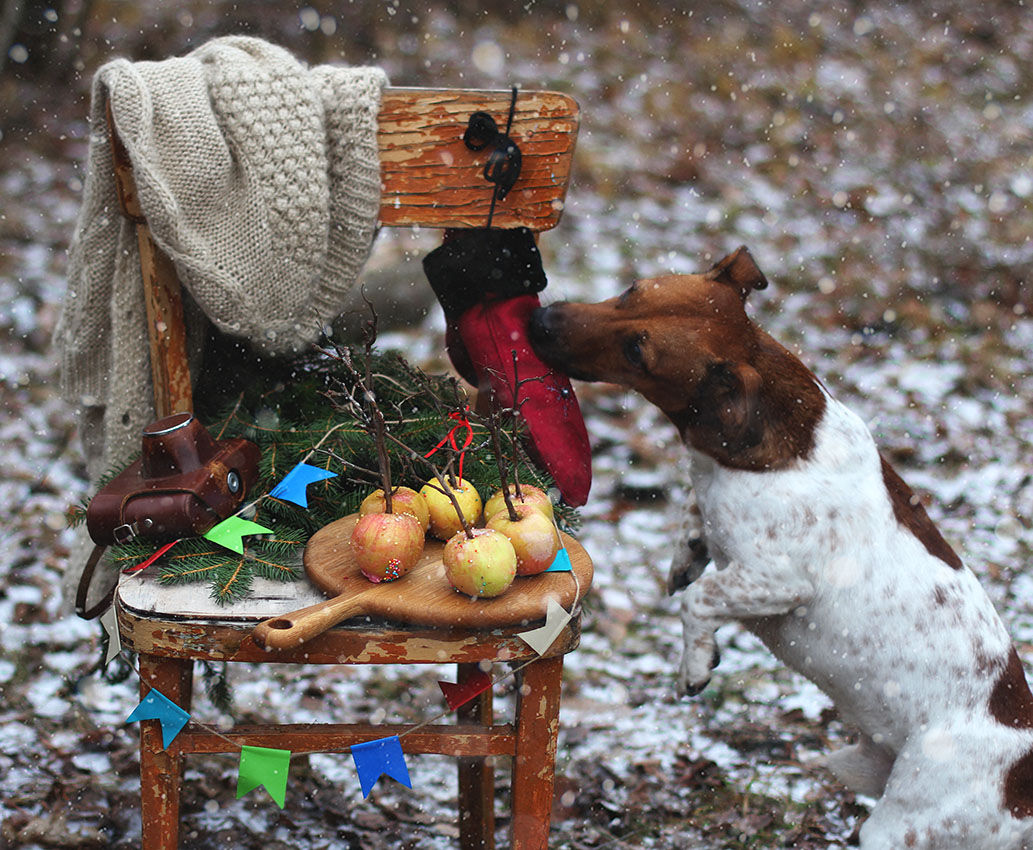 Ассистент....