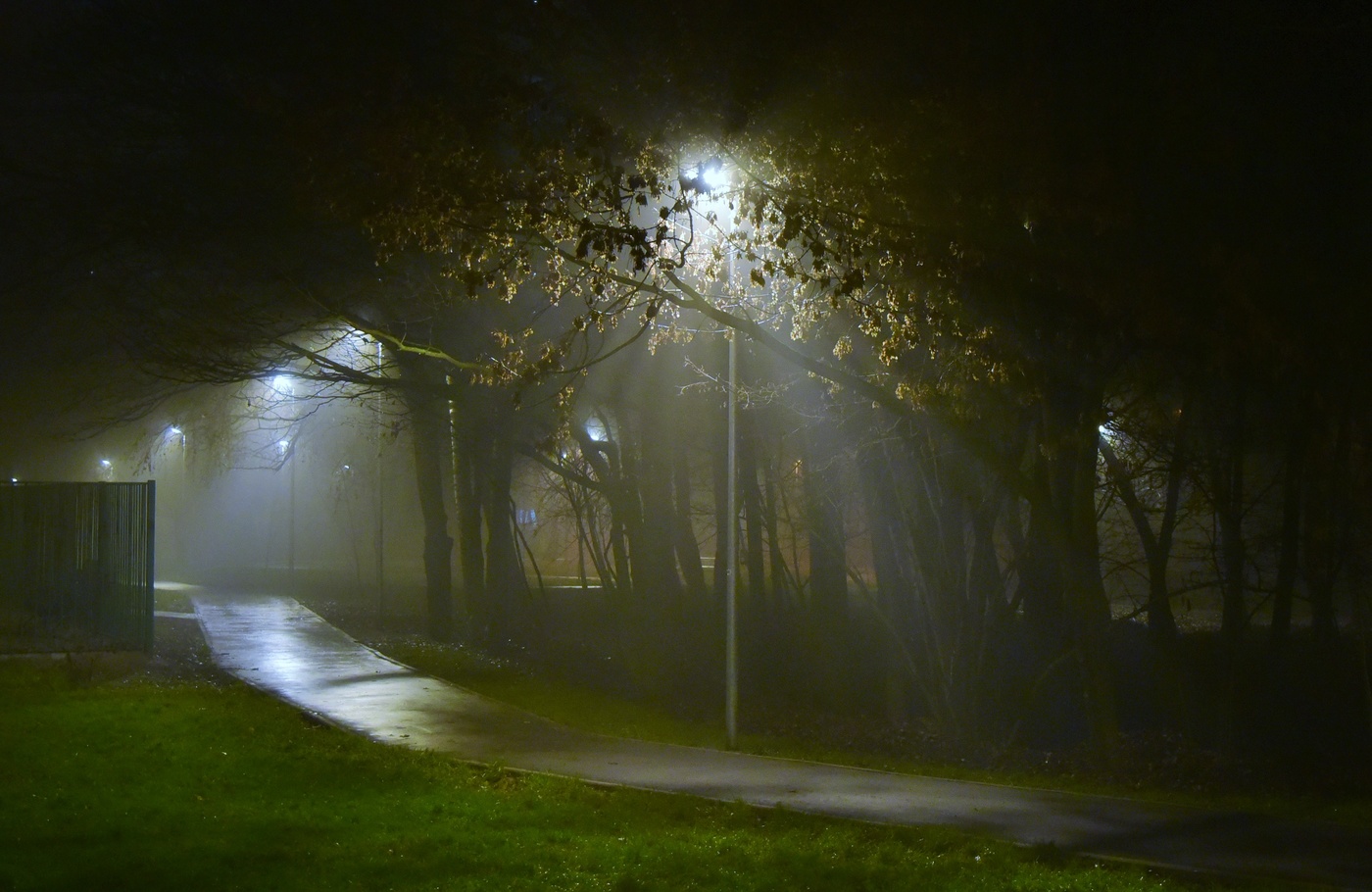 "Ночь тихонько спрыгнула на землю ..."