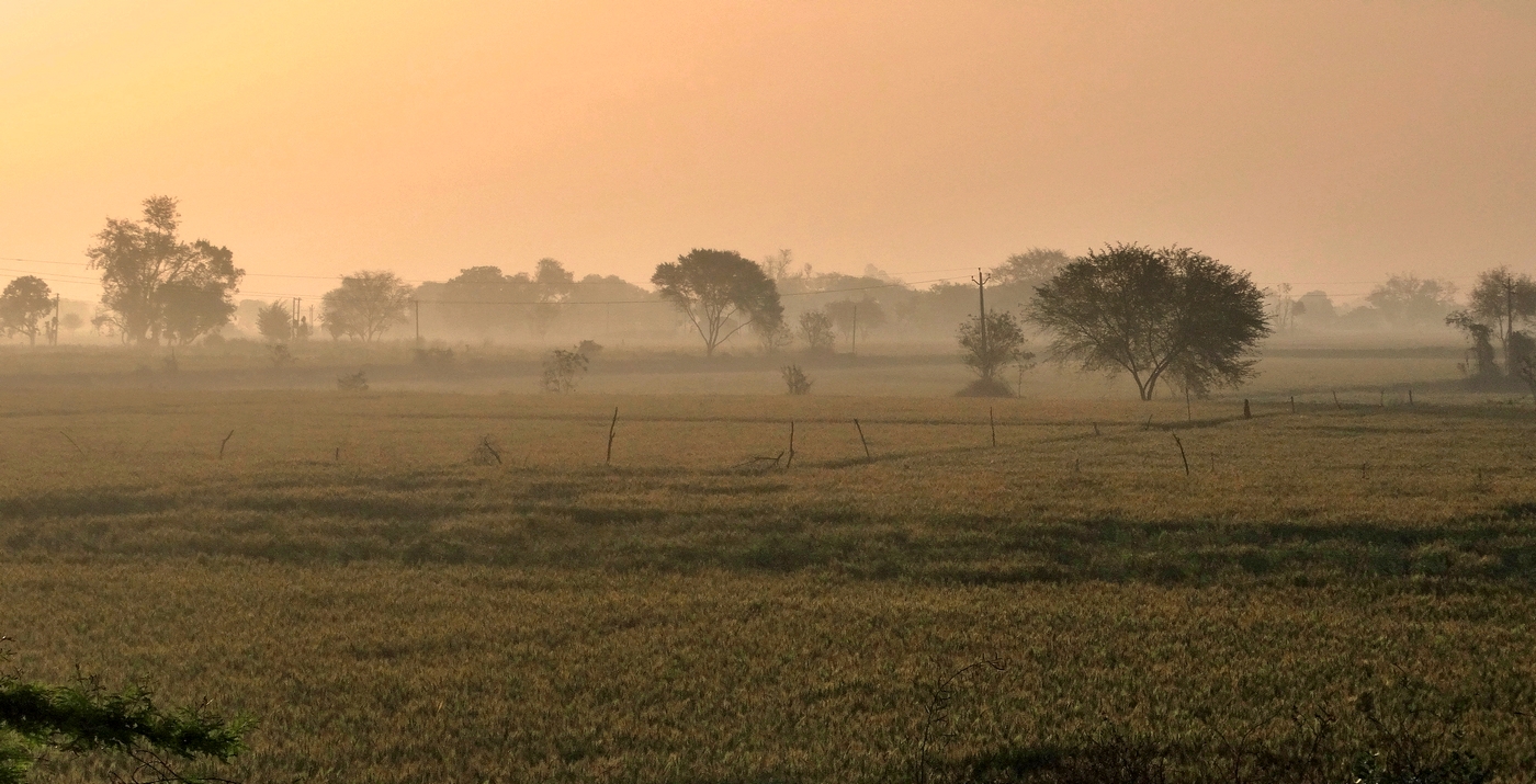 Туманное утро