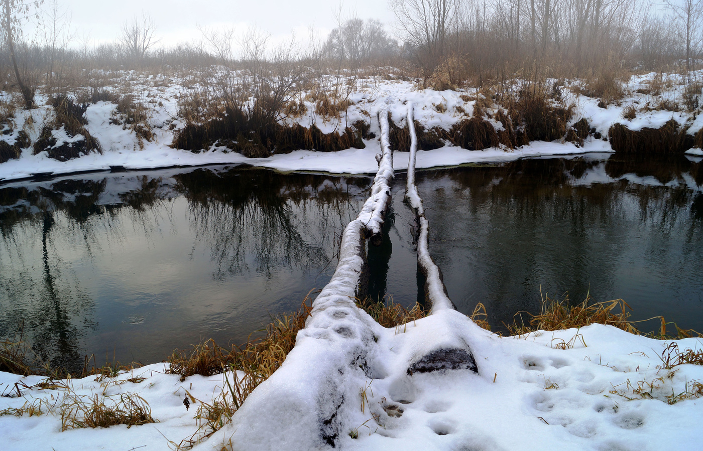 Однажды в декабре