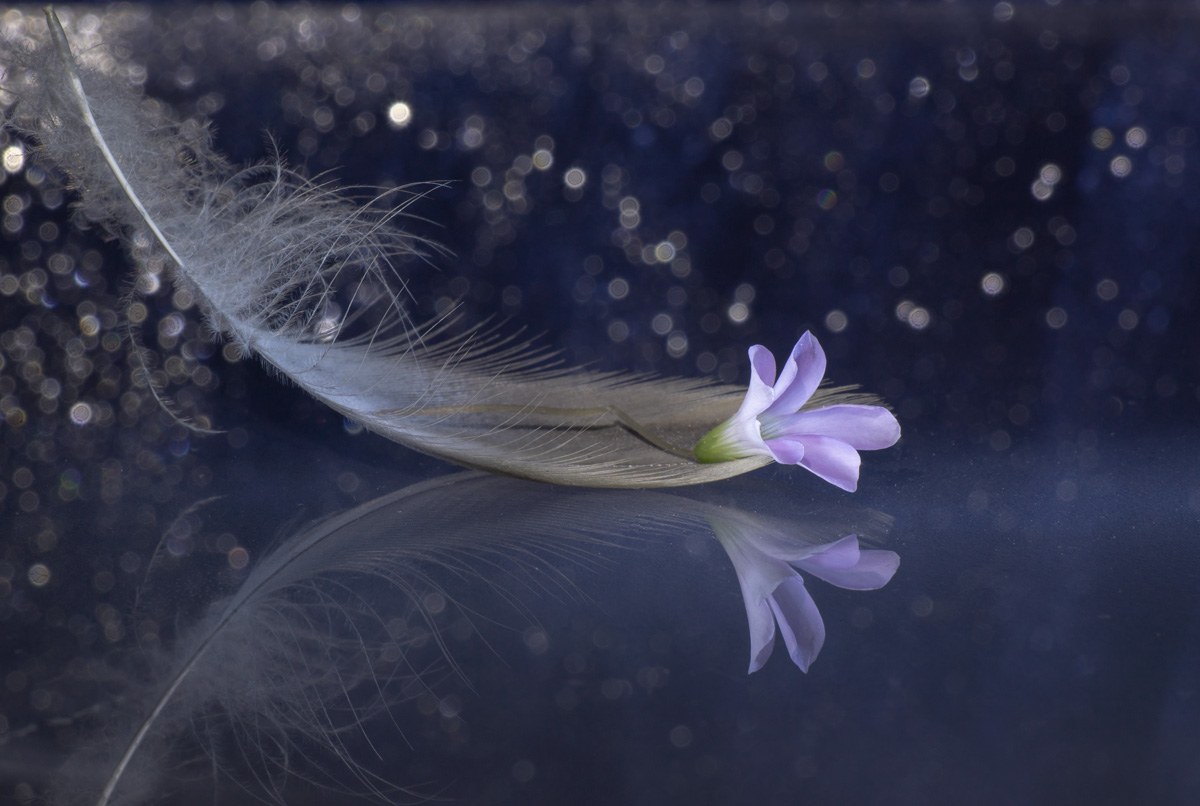 мечтатель...