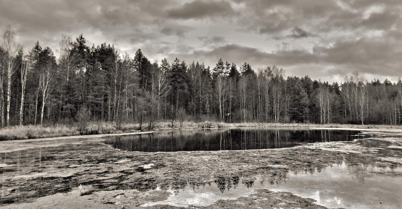 Серая пятница