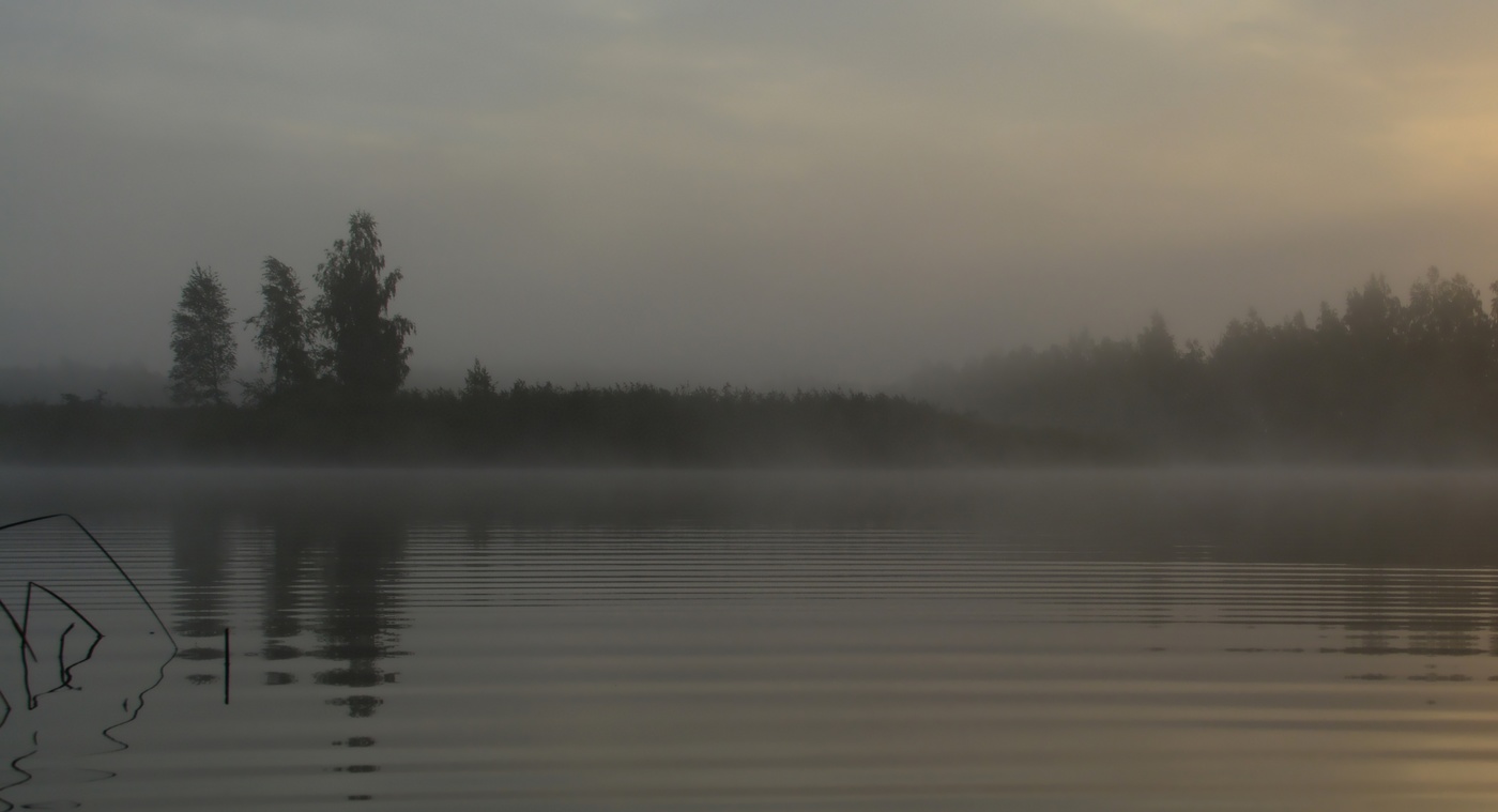 Серая пятница