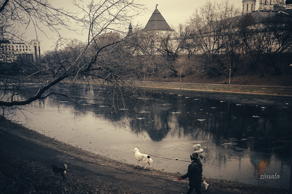 Серая пятница