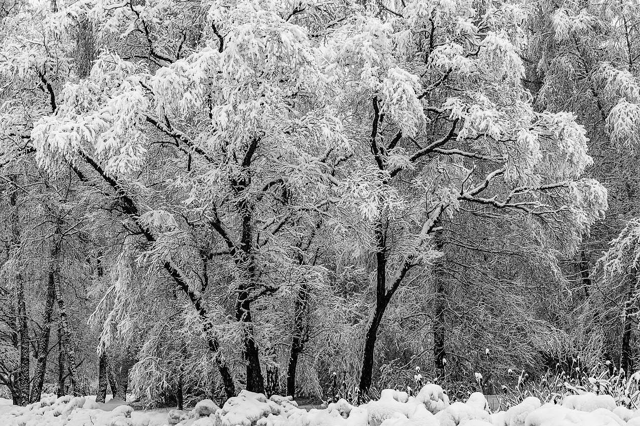 Серая пятница