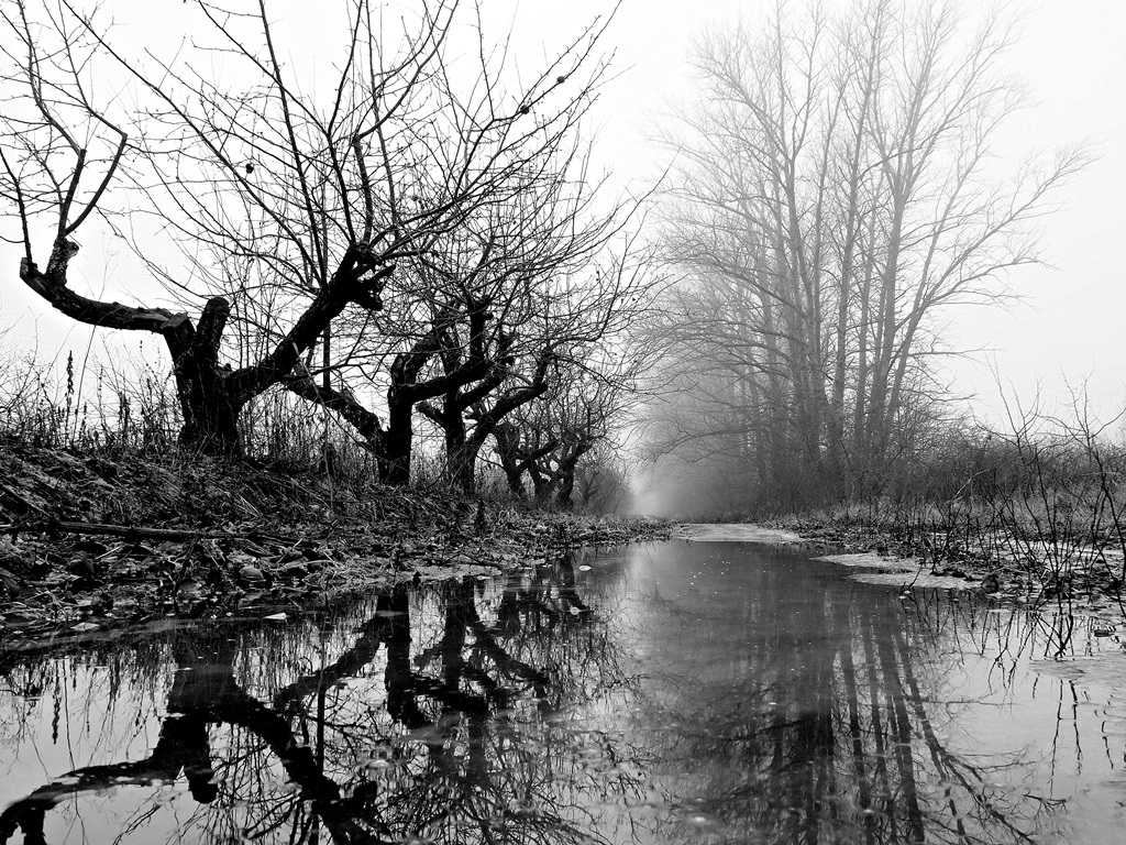 Серая пятница