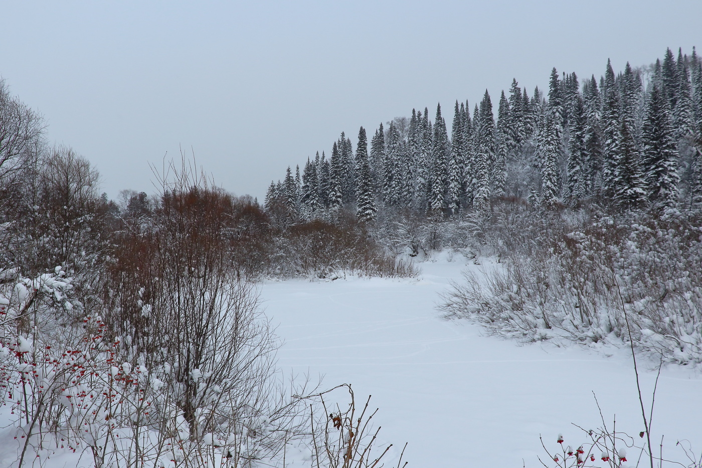 Серая пятница