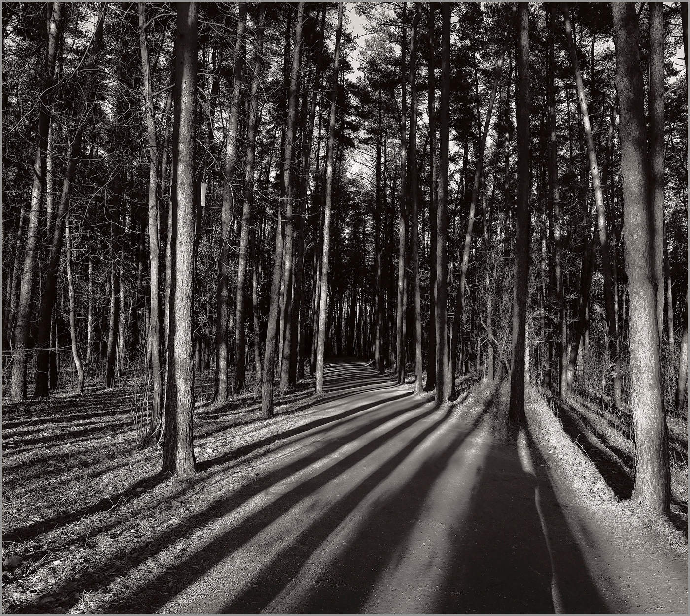 Серая пятница