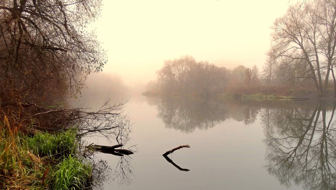 Туман осенний над рекой