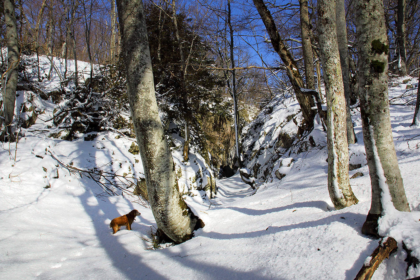 В Тиссовом Ущелье