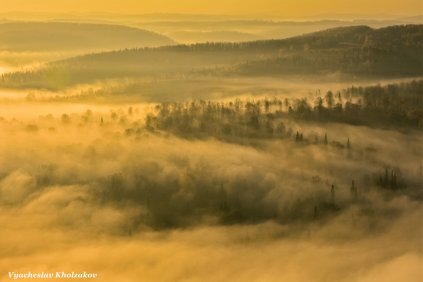 Осеннее туманное утро