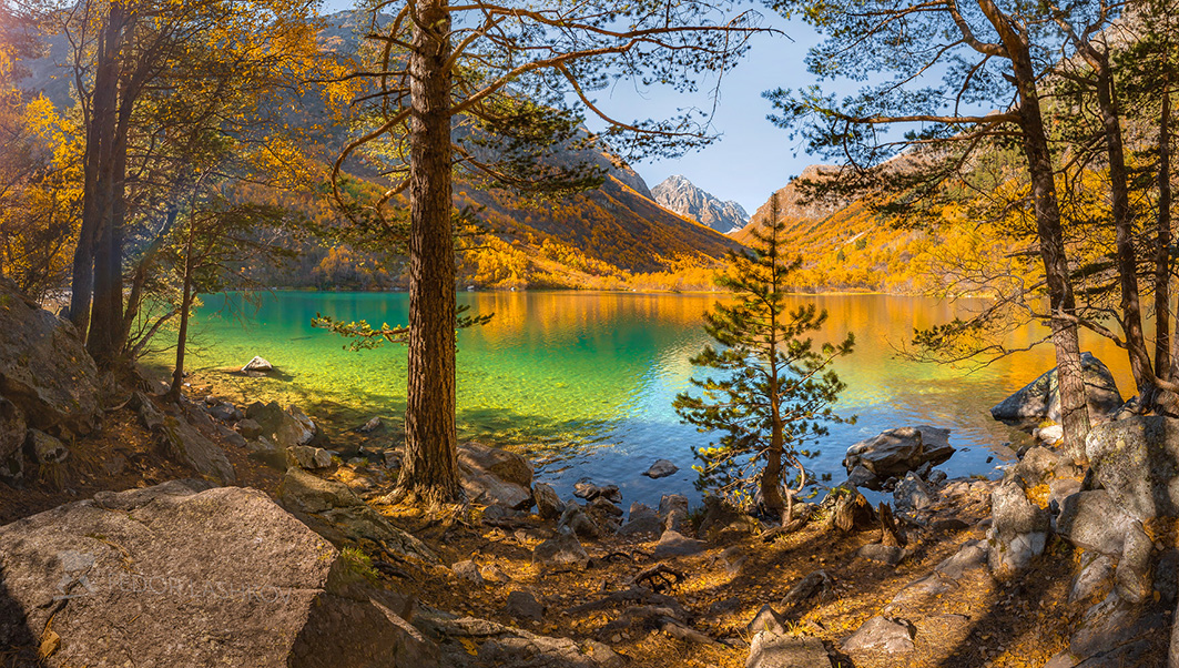 Чудо природы – живой изумруд