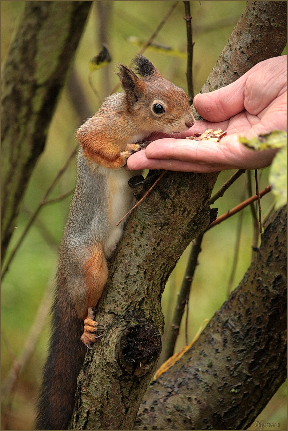 а что тут у вас...