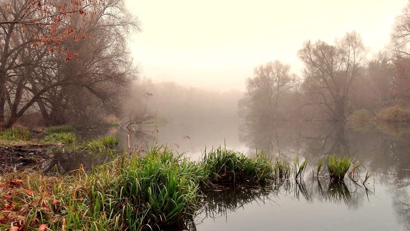 Сквозь туманную пелену