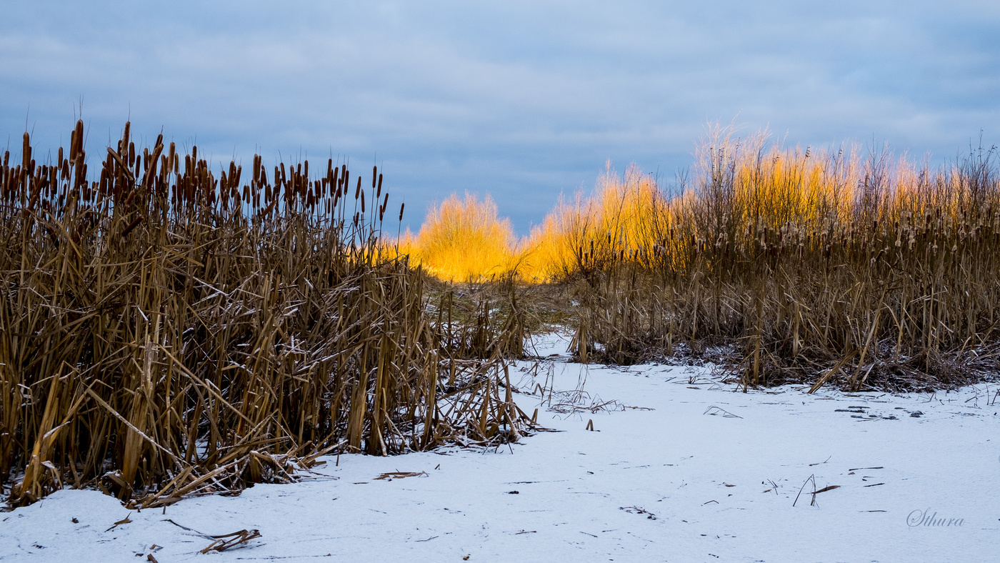 День начинается.