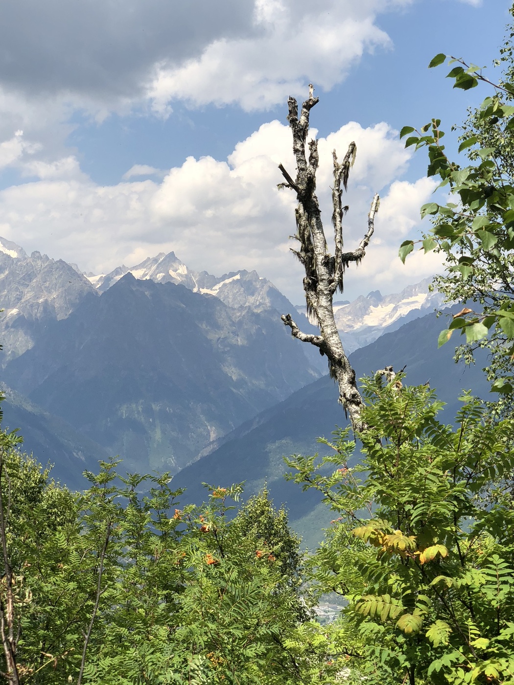 В горах Сванетии