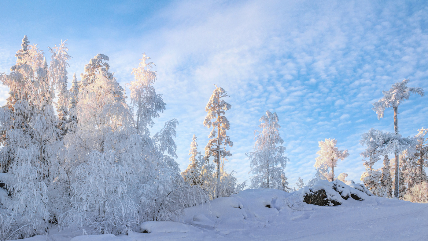 Зимняя нежность
