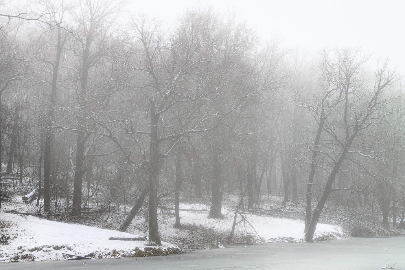 50 оттенков серого