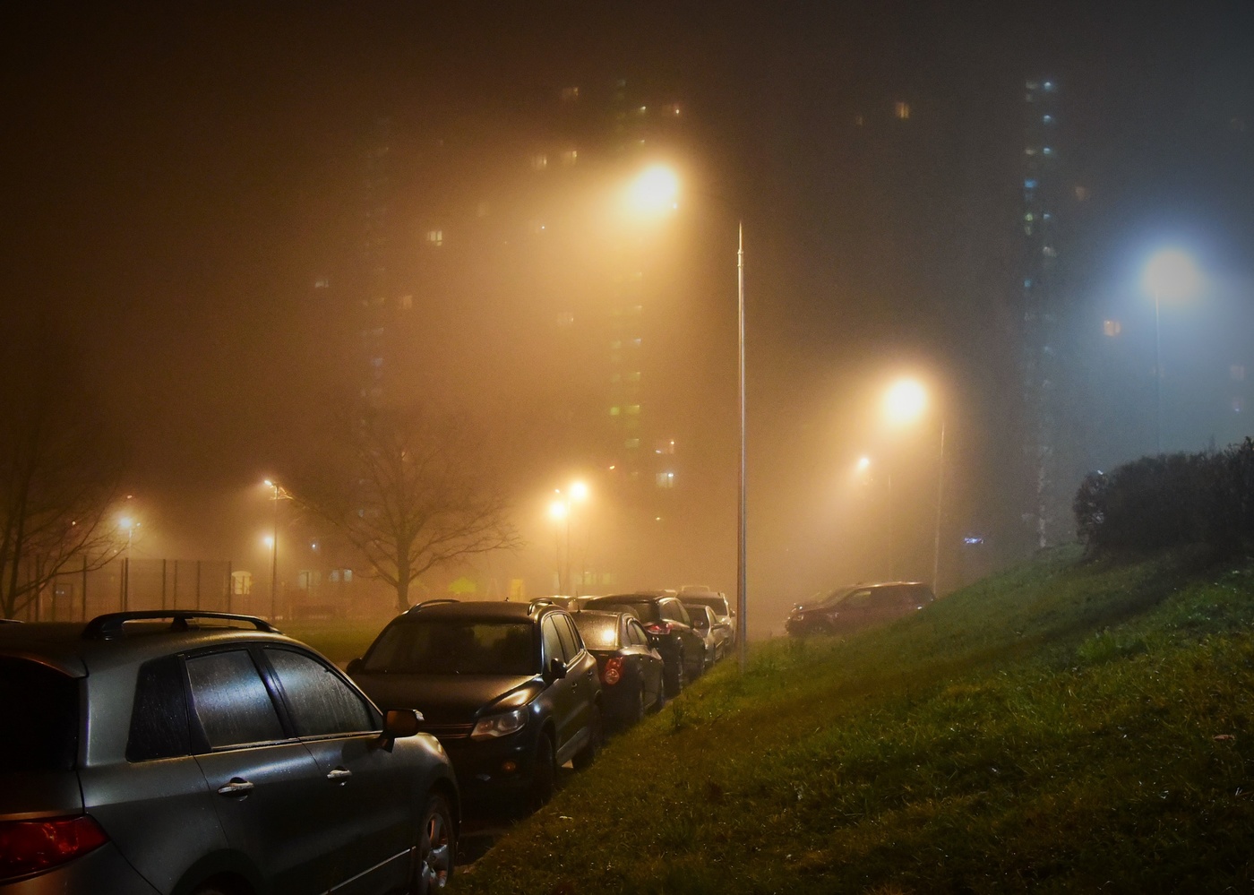 "Мой тихий дом под простынью тумана ..."