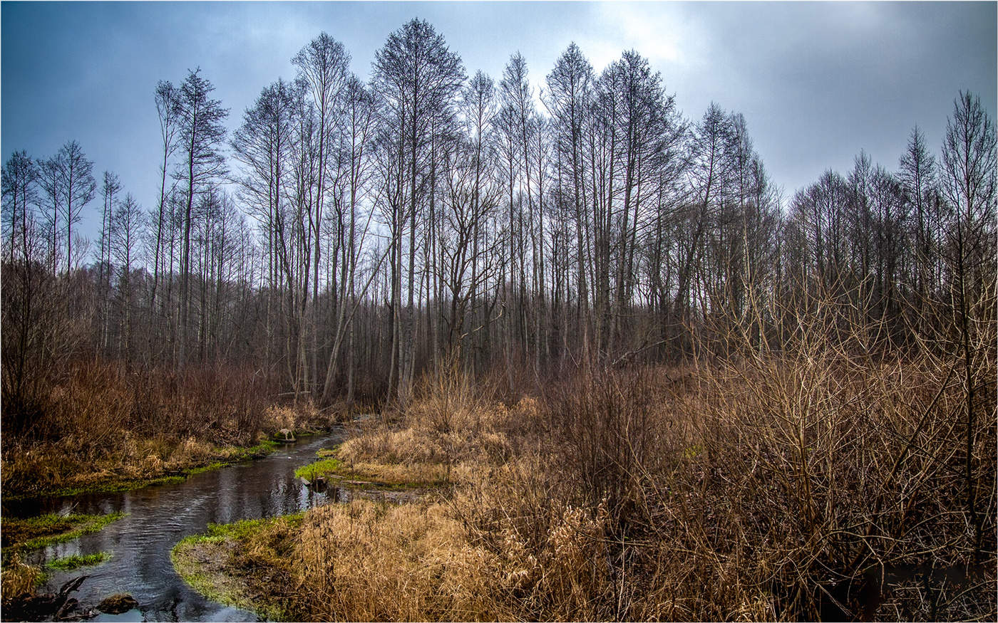 Оттепель в декабре