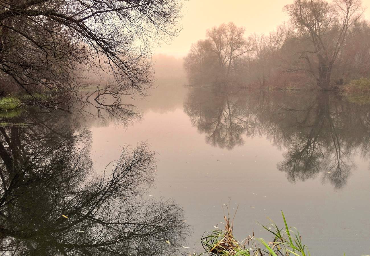 Отражения в тумане