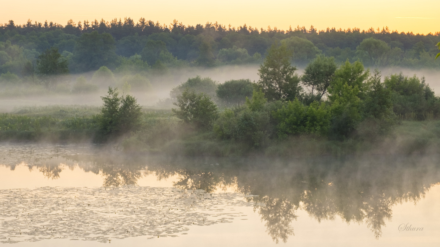 Утро затуманило.