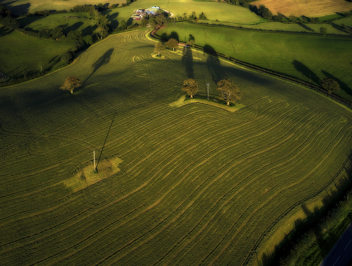 50 оттенков зеленого 