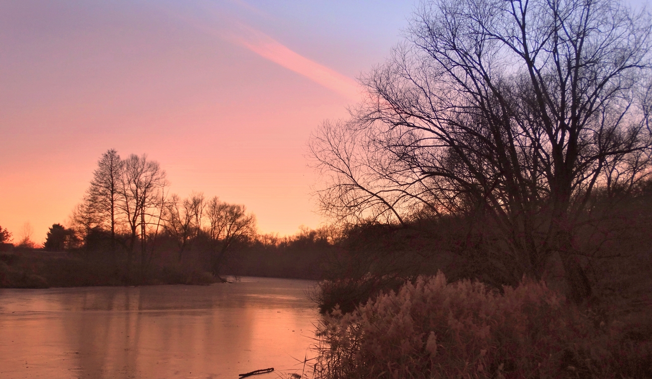 Уж ночь декабрьская близка