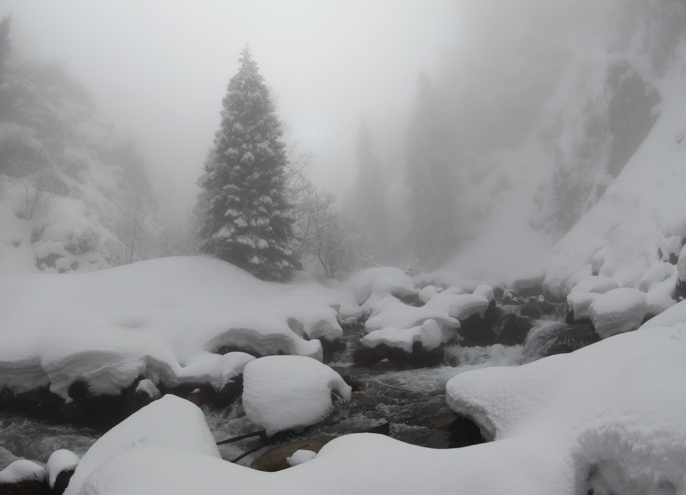 Скоро Новый год !.