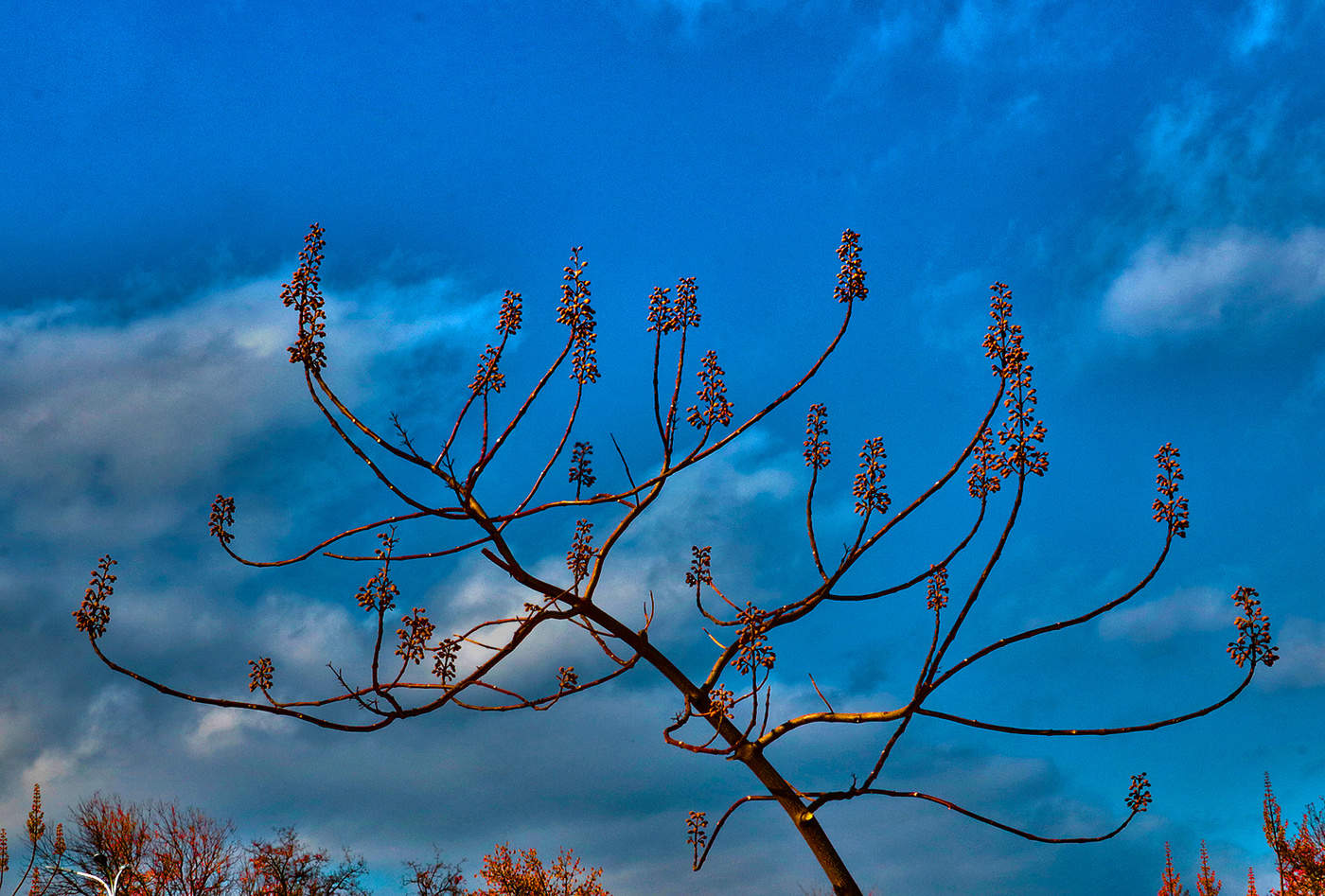 Подсвечник