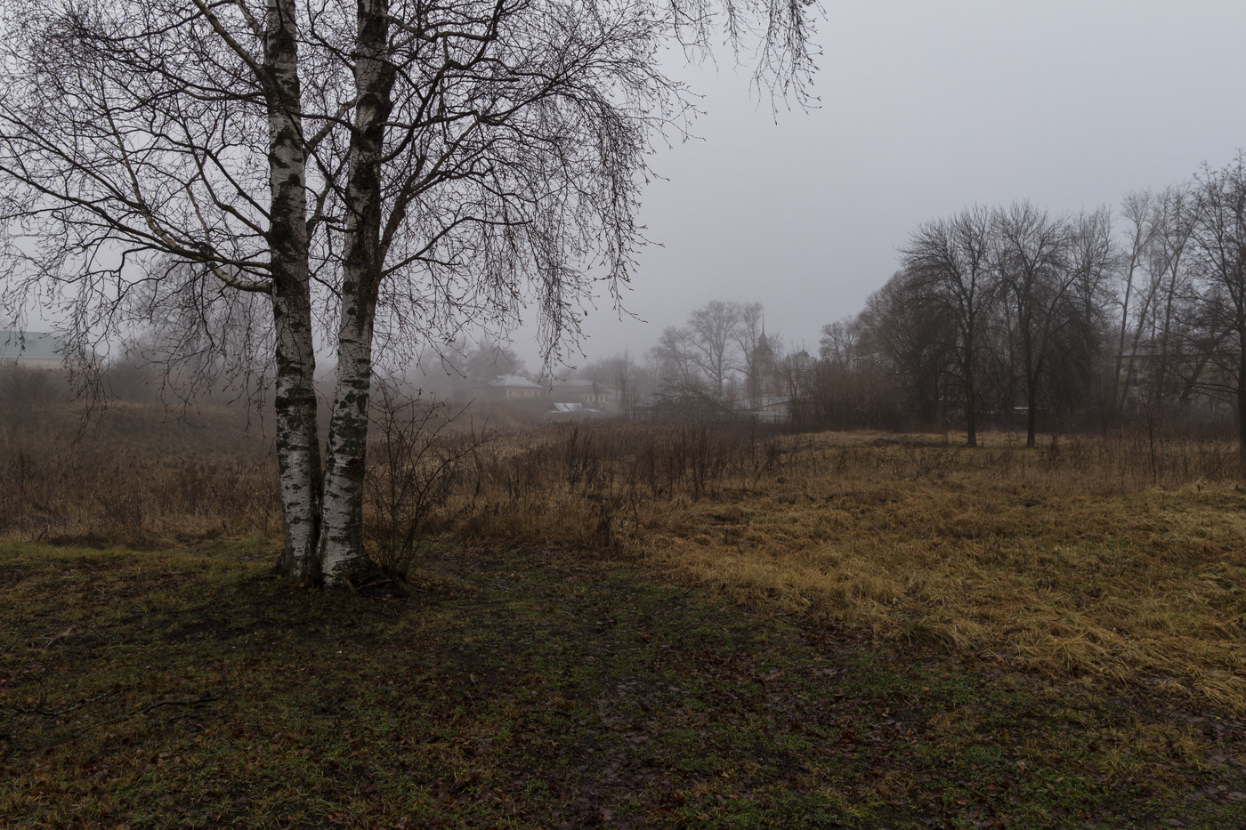 Туманный декабрь