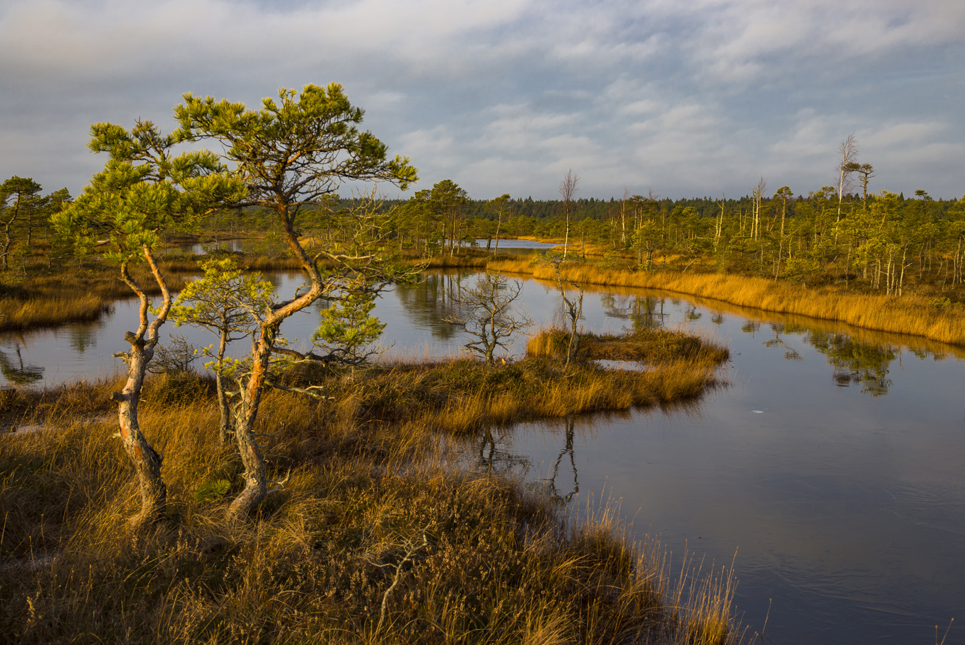 Осеннее танго