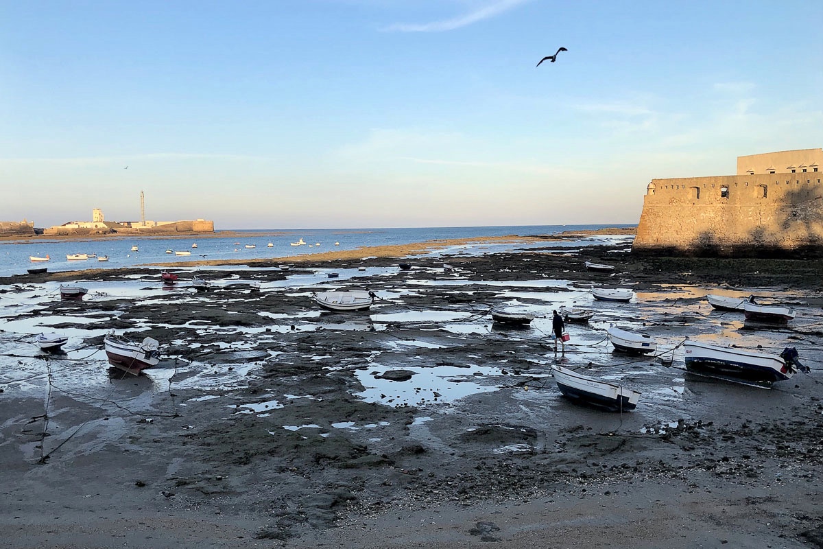 Утро. Отлив.